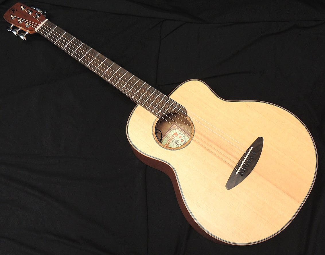 Amazon | aNueNue Bird Guitar aNN-M10E Solid Sitka Spruce Top