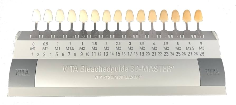 Amazon.co.jp: ビタ VITA ブリーチシェードガイド3Dマスター 15色