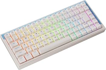 Amazon | DrunkDeer G75 ラピッドトリガーキーボード eスポーツ