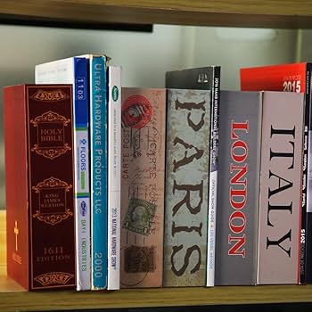 SEPOX® Diversion-Safes Portable Book-Safe Box with Key-Lock 5.6