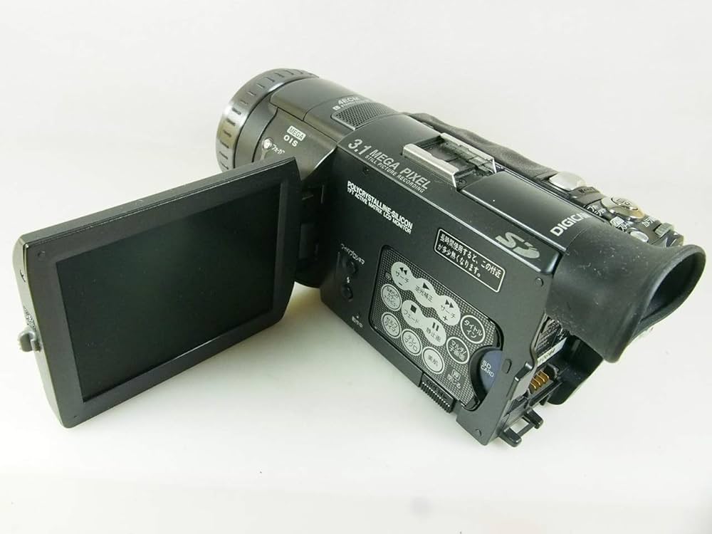 撮影再生ダビングOK Panasonic NV-GS100 付属品あり 大画面 撮影再生