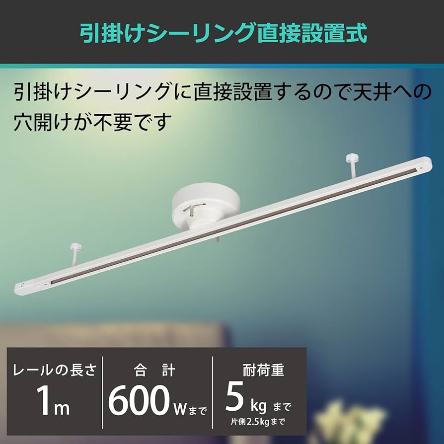 Amazon | ライティングダクトレール 引掛けシーリング直接設置式 1m