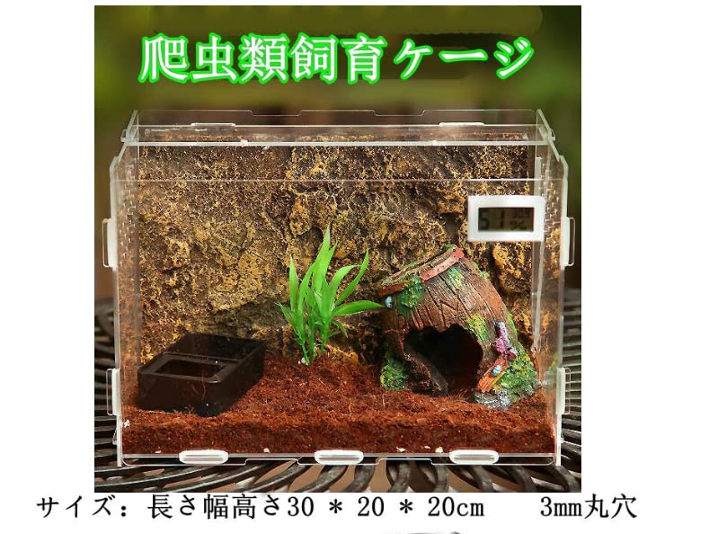 温室・飼育ケース Until 楽天市場】セット温 : 小動物専門店ヘヴン