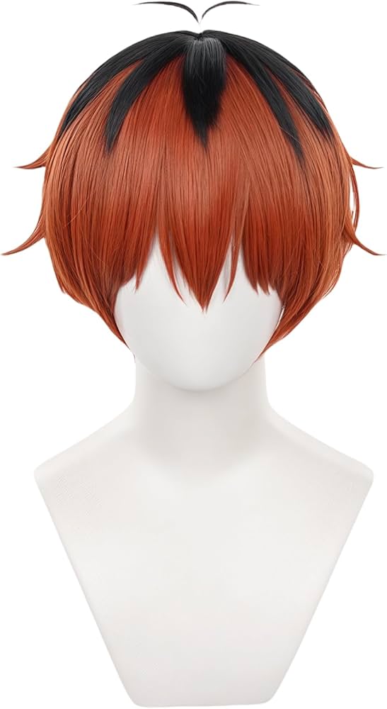 Amazon.co.jp: Sizuuenn 葬送のフリーレン シュタルク ウィッグ 耐熱