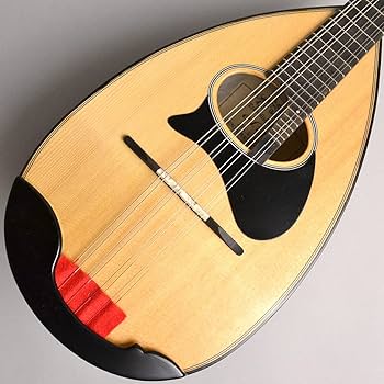 Amazon.co.jp: Ena エナ マンドリン EM-40 : Musical Instruments