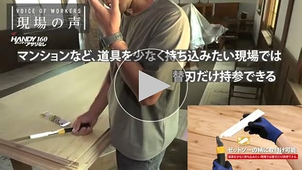 Amazon | ゼットソー ハンディ160アサリなし 本体 埋木や凸部の切断