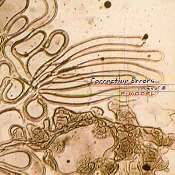 Amazon.co.jp: コレクティブ・エラーズ Re-mix of 舟: ミュージック