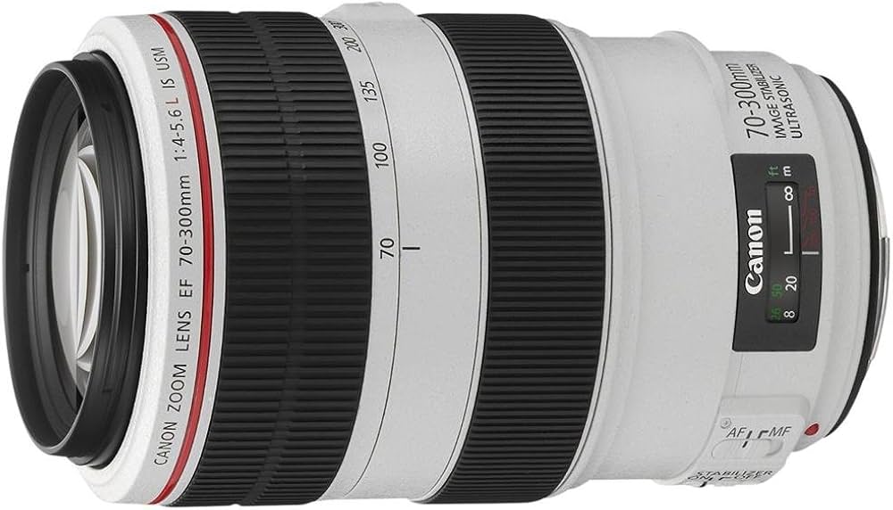 Canon EF 70-300mm f/4-5.6L is USM Zoom Lens for Canon Digital SLR