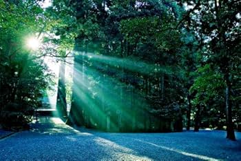 Amazon.co.jp: 伊勢神宮 (講談社文芸ヴィジュアル) (100周年書き下ろし