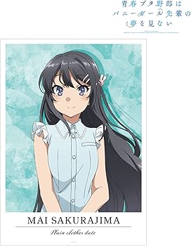 Amazon.co.jp: 青春ブタ野郎はバニーガール先輩の夢を見ない 描き