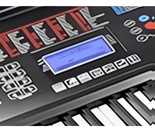 Amazon.com: RockJam RJ761 61 Key Keyboard Piano with Keyboard