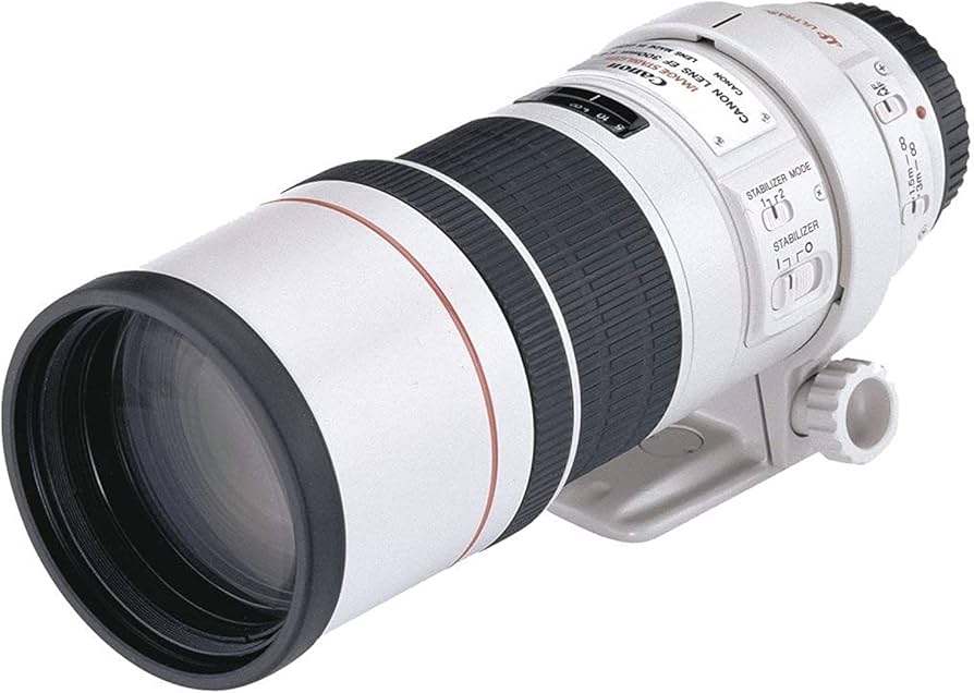Canon EF 300mm f/4L is USM, 2530A017AA : Amazon.ca: Electronics