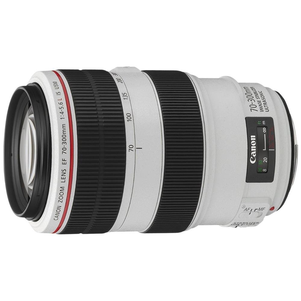 Canon EF 70-300mm f/4-5.6L is USM Zoom Lens for Canon Digital SLR