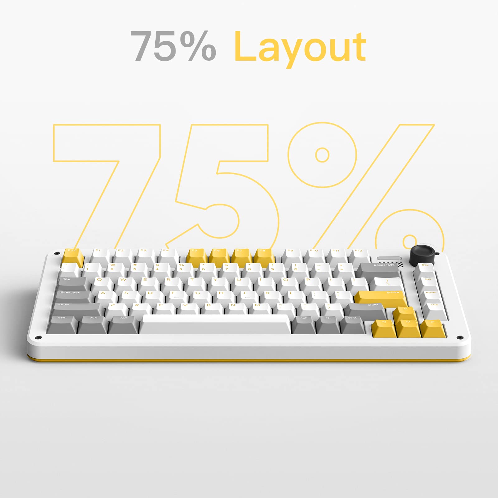 Amazon.com: IQUNIX ZX75 Gravity Wave 75% RGB Mechanical Keyboard