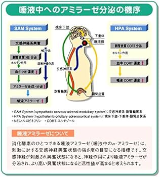 Amazon.co.jp: ニプロ唾液アミラーゼモニター本体＆専用チップ20テスト