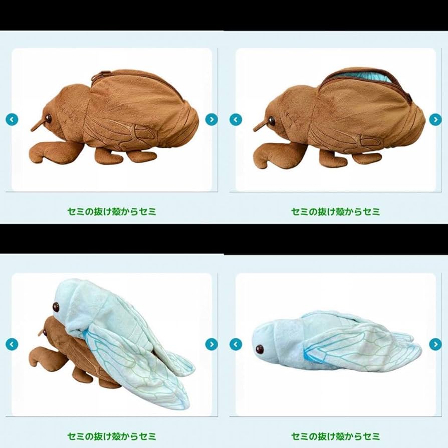 Amazon.co.jp: 国立科学博物館 昆虫MANIAC マニアック セミの抜け殻