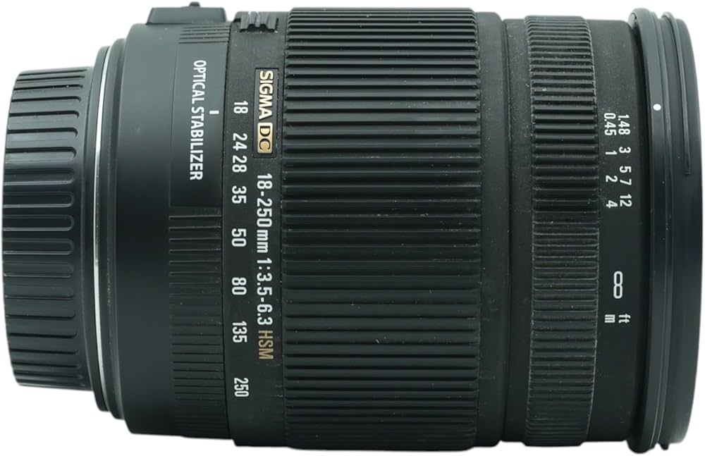 Amazon.co.jp: シグマ 18-250mm F3.5-6.3 DC OS HSM EO キヤノン用
