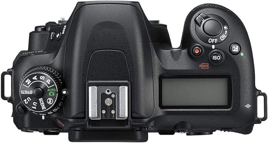 Amazon.com : Nikon D7500 20.9MP DX-Format 4K Ultra HD DSLR Digital