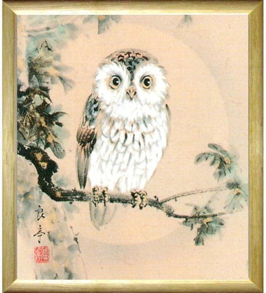 Amazon.co.jp: 今瀬良亭 ふくろう 不苦労 色紙 ナチュラル 日本画 動物