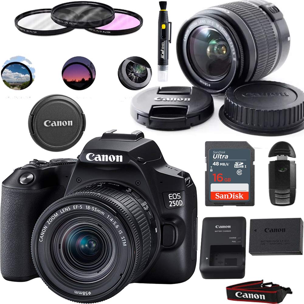 Amazon.com : EOS 250D DSLR Camera with EF-S 18-55mm Lens - Basic