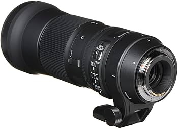 Amazon.com : Sigma 150-600mm F5-6.3 Contemporary DG OS HSM & TC