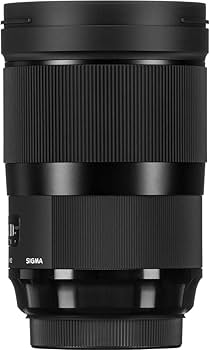 Amazon.com : Sigma 40mm f/1.4-1.4 Fixed Prime 40mm F1.4 DG HSM