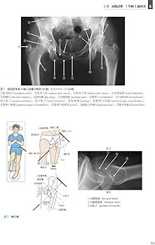 612Ak2FAD2L._AC_UF350,