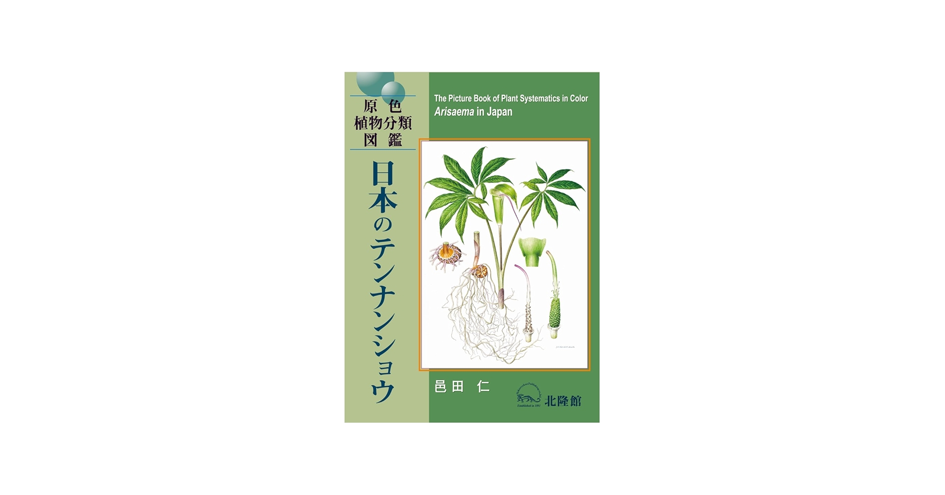 日本のテンナンショウ (原色植物分類図鑑) | 邑田 仁 |本 | 通販 | Amazon