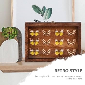 Amazon.co.jp: SEWACC 標本ケース 木製 標本箱 透明窓付き ジュエリー