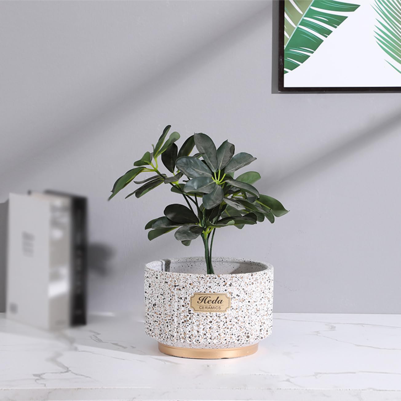 Amazon.co.jp: 植木鉢 軽い鉢 多肉植物鉢 光沢感 22*15cm プランター