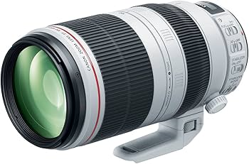 Amazon.com : Canon EF 100-400mm f/4.5-5.6L is II USM Lens