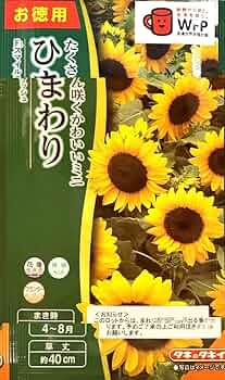 61346B946+L._AC_UF350,