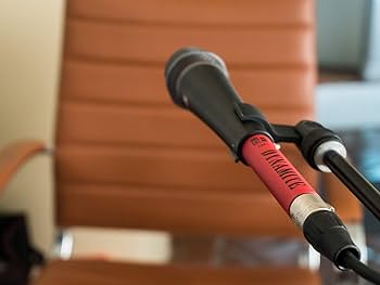 Amazon | sE Electronics DM1 DYNAMITE アクティブインラインマイク