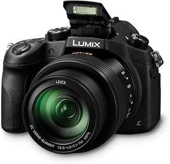 Amazon.com : Panasonic Lumix DMC-FZ1000 4K QFHD/HD Digital Camera