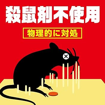 Amazon.co.jp: ネズミホイホイ チューバイチュー 殺虫剤不使用 強力