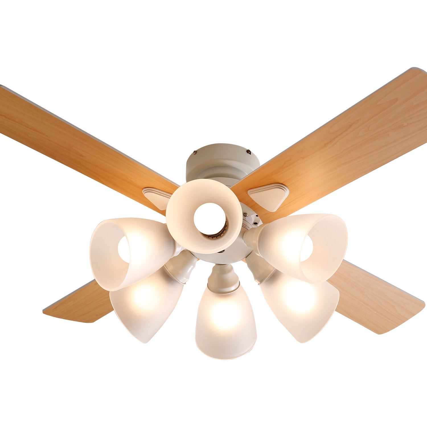 Amazon.co.jp : LOWYA ロウヤ 照明 シーリングファンライト シーリング