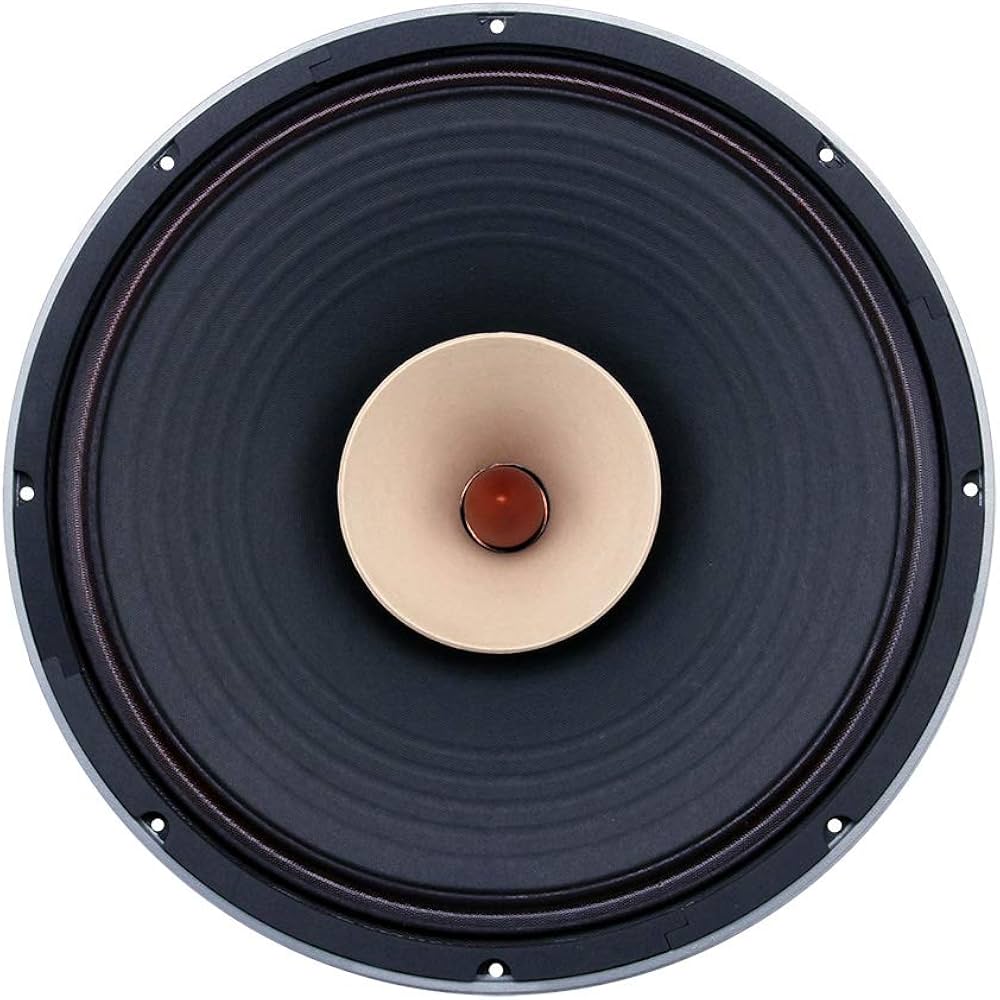 Pair of 15 Inch Full Range Speaker Driver for Music Loudspeaker F