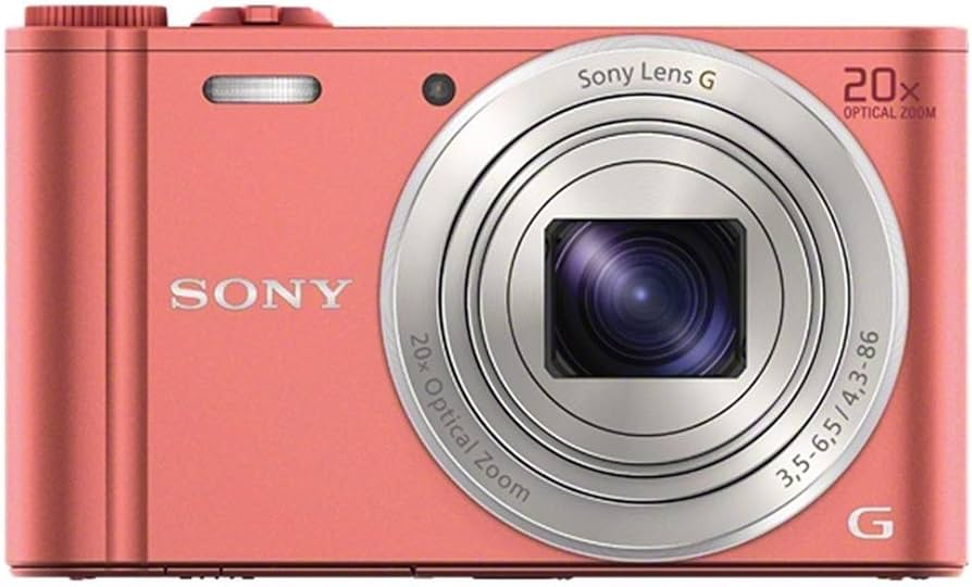 Amazon.com : Sony WX350 18 MP Digital Camera (Pink) : Electronics