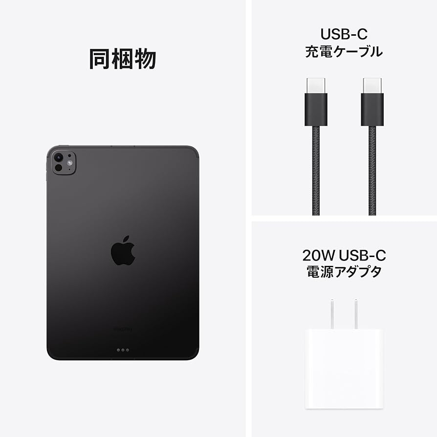 Apple iPad Pro (11インチ) 256GB M4 使用1ヶ月未満