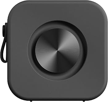 Amazon.co.jp: SUDIO F2 (ブラック) ワイヤレスポータブルスピーカー