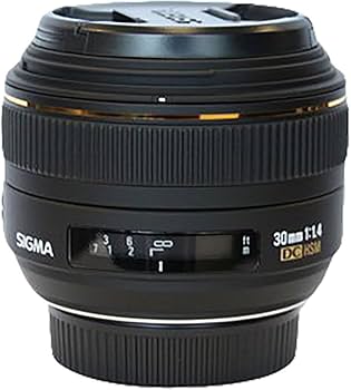 Amazon.com : Sigma 30mm f/1.4 EX DC HSM Lens for Nikon Digital SLR