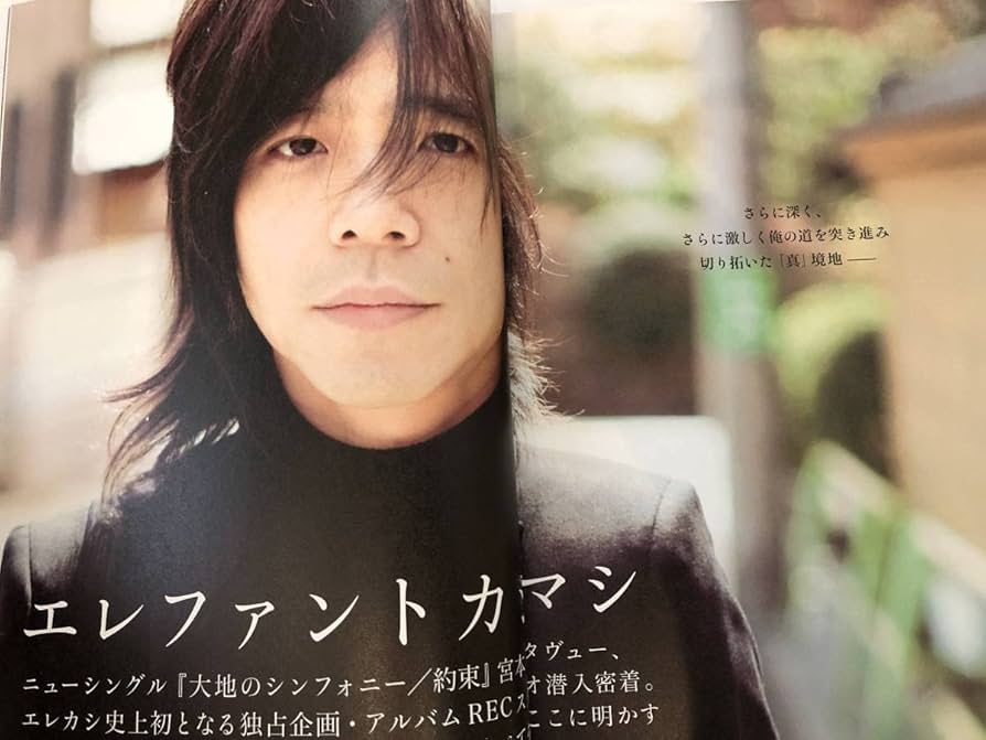 Amazon.co.jp: エレファントカシマシ大地のシンフォニー約束エレカシ