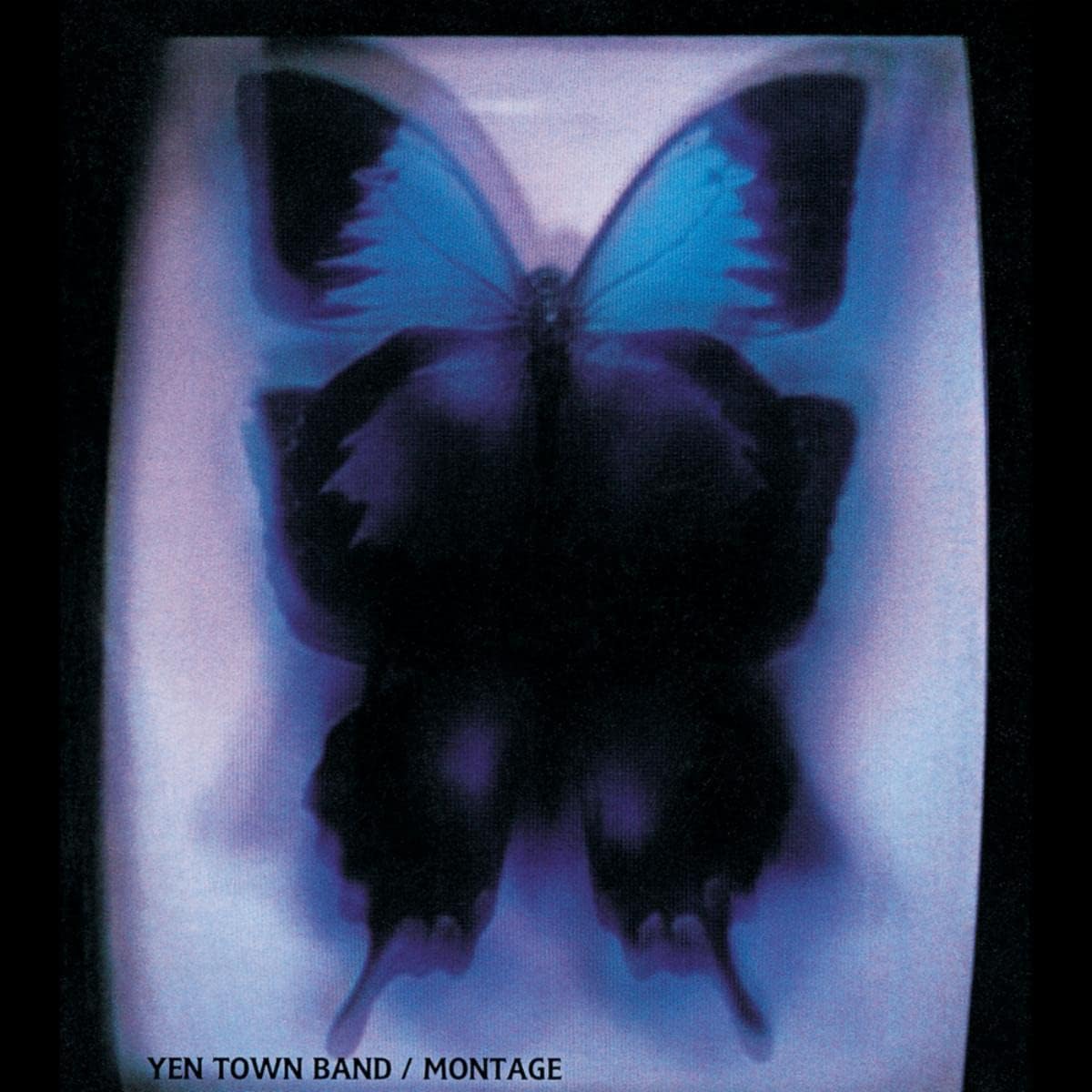 スワロウテイル ～バタフライ～ | Community Playlist on Amazon Music