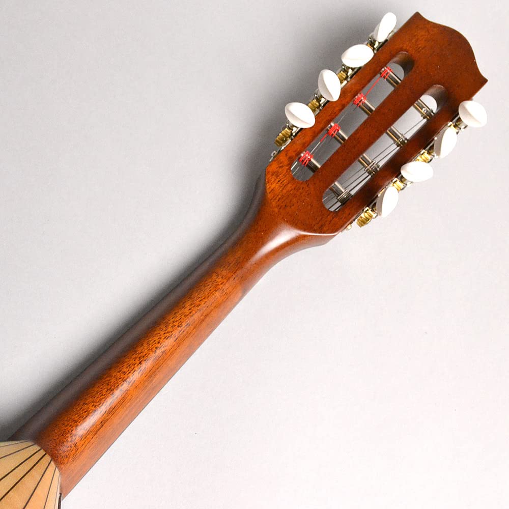 Amazon.co.jp: Ena エナ マンドリン EM-40 : Musical Instruments