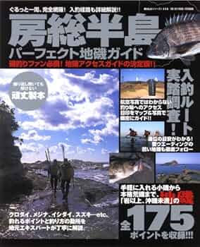 61t+o3tKtxL._AC_UF350,