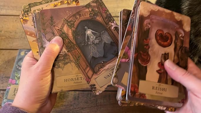 The Herbal Astrology Oracle: A 55-Card Deck and Guidebook: Ayales