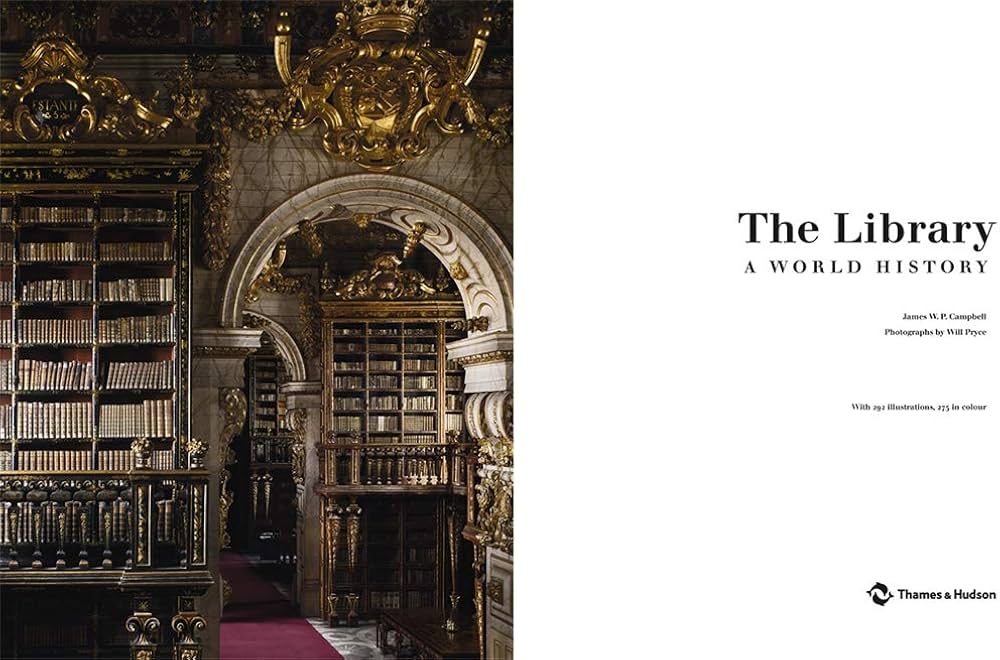 61uCNmEnbmL._AC_UF1000,