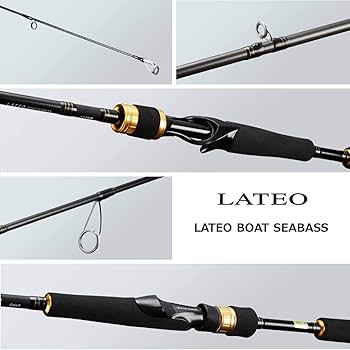Amazon | ダイワ(DAIWA) ボートシーバスロッド ラテオ BS 67MLS 釣り竿