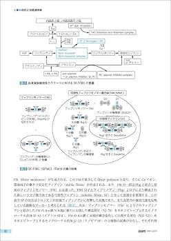 臨床に直結する血栓止血学 改訂2版 | 朝倉 英策 |本 | 通販 | Amazon