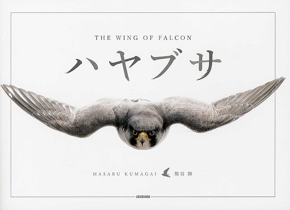 ハヤブサ THE WING OF FALCON | 熊谷勝 |本 | 通販 | Amazon